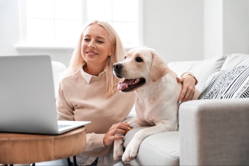 Can an Online Vet Prescribe Medicine?